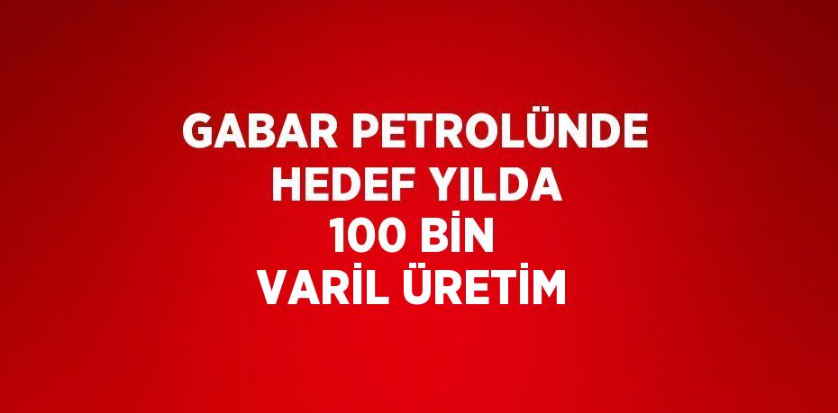 GABAR PETROLÜNDE HEDEF YILDA 100 BİN VARİL ÜRETİM