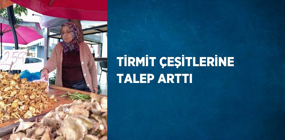 TİRMİT ÇEŞİTLERİNE TALEP ARTTI