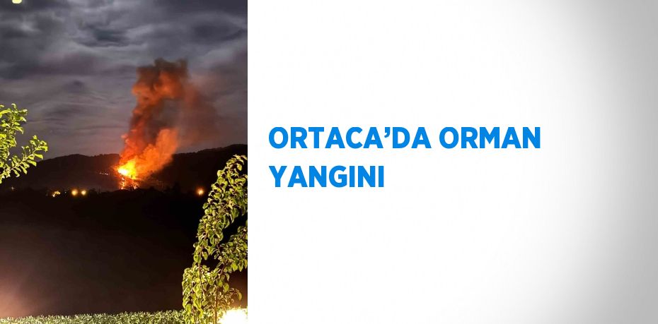 ORTACA’DA ORMAN YANGINI