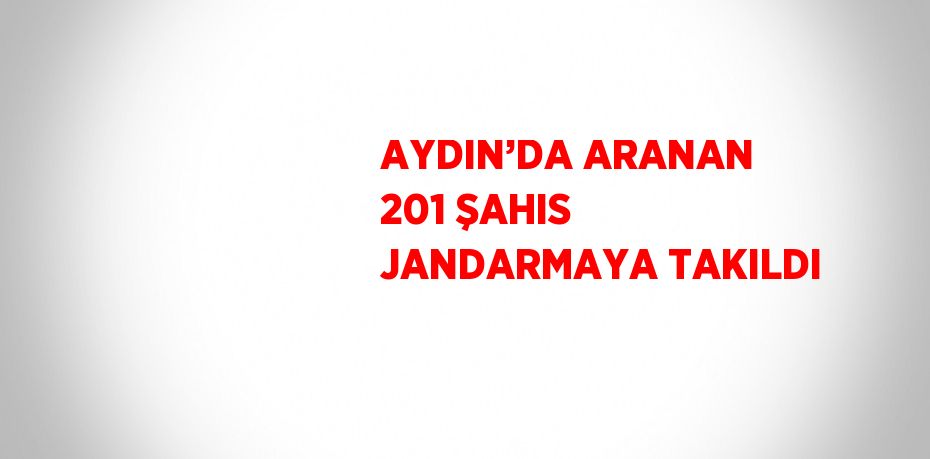 AYDIN’DA ARANAN 201 ŞAHIS JANDARMAYA TAKILDI