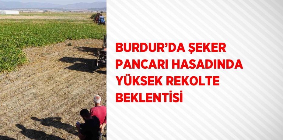 BURDUR’DA ŞEKER PANCARI HASADINDA YÜKSEK REKOLTE BEKLENTİSİ