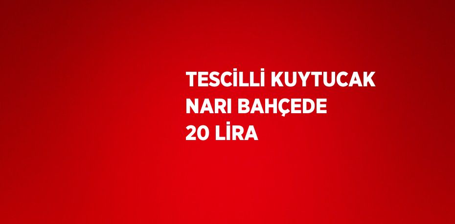 TESCİLLİ KUYTUCAK NARI BAHÇEDE 20 LİRA