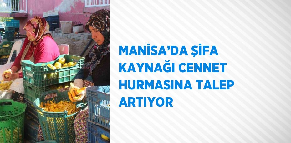 MANİSA’DA ŞİFA KAYNAĞI CENNET HURMASINA TALEP ARTIYOR