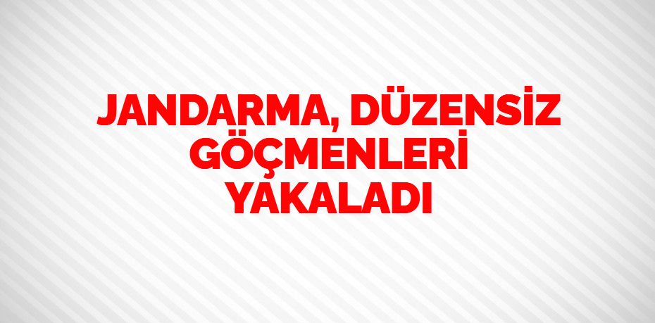 JANDARMA, DÜZENSİZ GÖÇMENLERİ YAKALADI