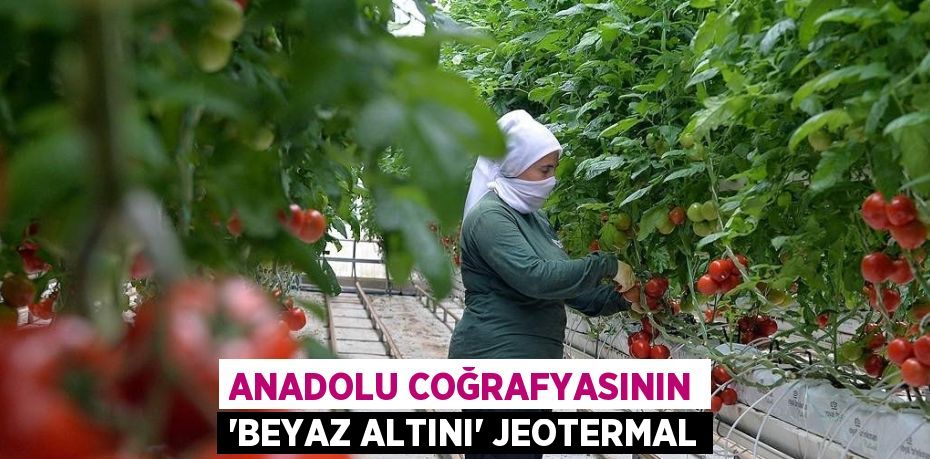 ANADOLU COĞRAFYASININ 'BEYAZ ALTINI' JEOTERMAL