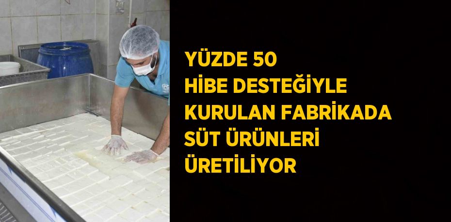 YÜZDE 50 HİBE DESTEĞİYLE KURULAN FABRİKADA SÜT ÜRÜNLERİ ÜRETİLİYOR