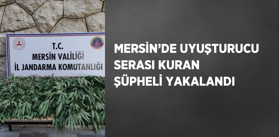 MERSİN’DE UYUŞTURUCU SERASI KURAN ŞÜPHELİ YAKALANDI