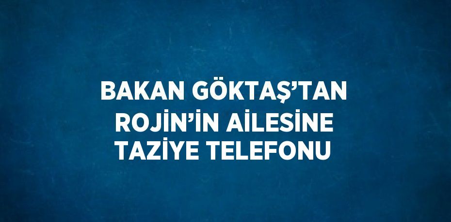 BAKAN GÖKTAŞ’TAN ROJİN’İN AİLESİNE TAZİYE TELEFONU