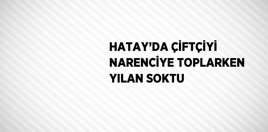 HATAY’DA ÇİFTÇİYİ NARENCİYE TOPLARKEN YILAN SOKTU