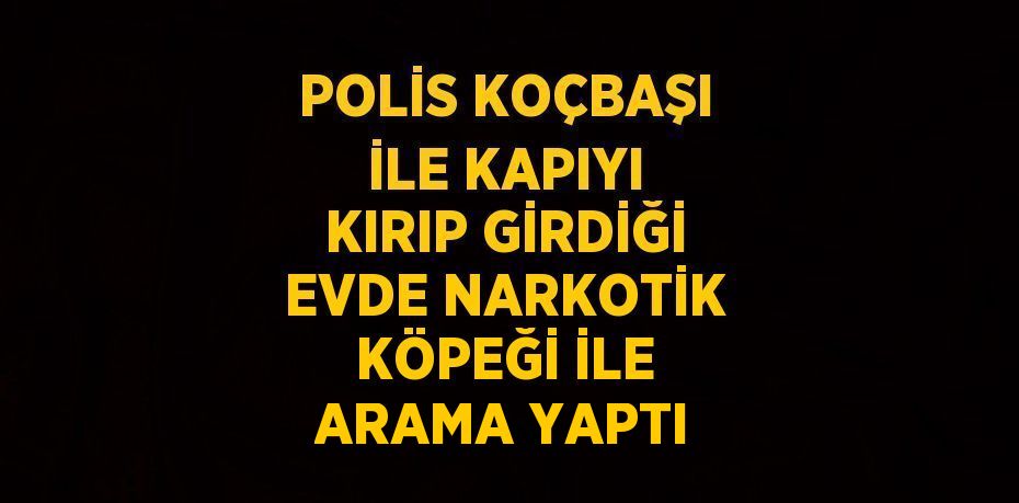 POLİS KOÇBAŞI İLE KAPIYI KIRIP GİRDİĞİ EVDE NARKOTİK KÖPEĞİ İLE ARAMA YAPTI