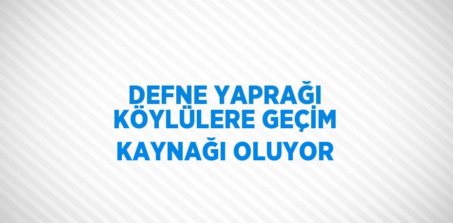 DEFNE YAPRAĞI KÖYLÜLERE GEÇİM KAYNAĞI OLUYOR