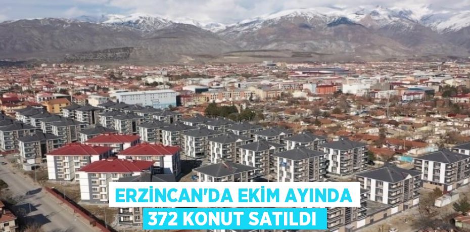 ERZİNCAN’DA EKİM AYINDA 372 KONUT SATILDI