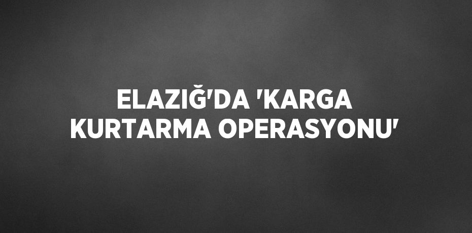 ELAZIĞ’DA ’KARGA KURTARMA OPERASYONU’