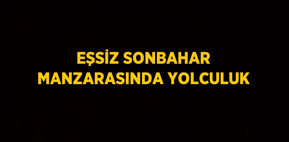 EŞSİZ SONBAHAR MANZARASINDA YOLCULUK