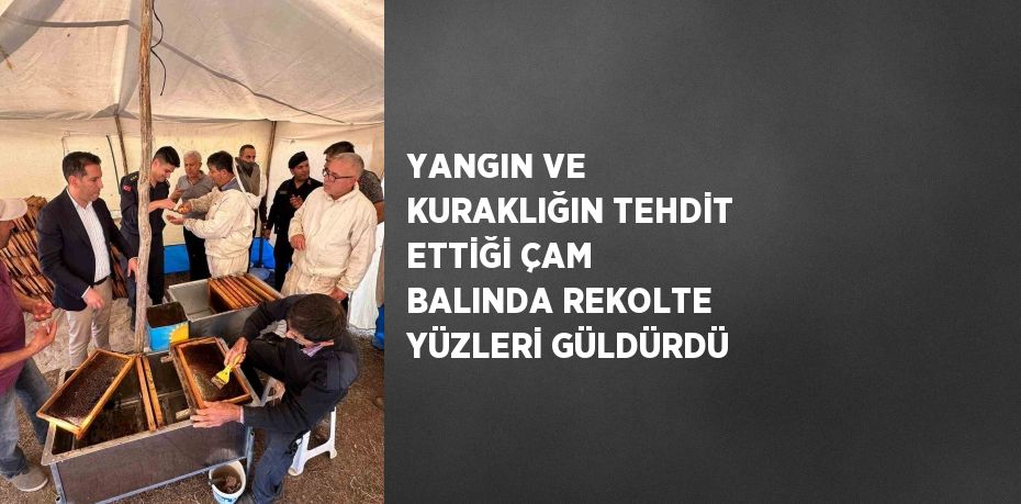 YANGIN VE KURAKLIĞIN TEHDİT ETTİĞİ ÇAM BALINDA REKOLTE YÜZLERİ GÜLDÜRDÜ