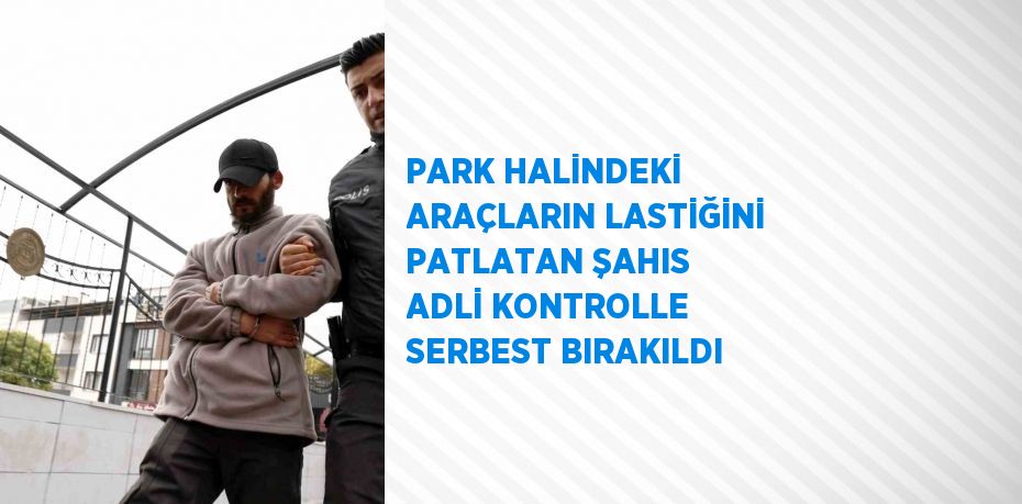 PARK HALİNDEKİ ARAÇLARIN LASTİĞİNİ PATLATAN ŞAHIS ADLİ KONTROLLE SERBEST BIRAKILDI