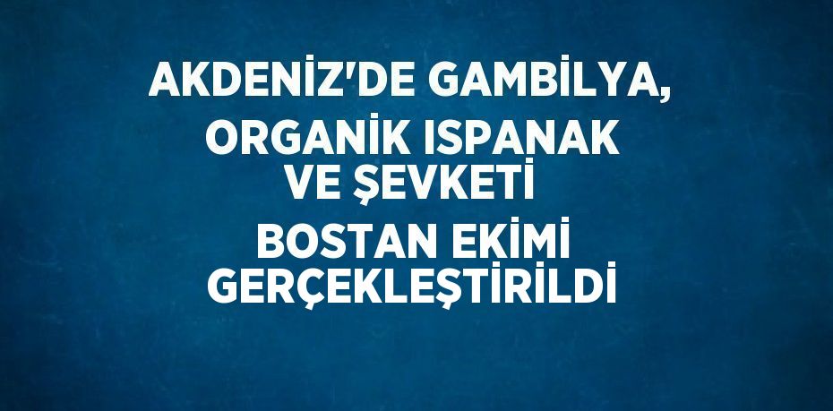 AKDENİZ’DE GAMBİLYA, ORGANİK ISPANAK VE ŞEVKETİ BOSTAN EKİMİ GERÇEKLEŞTİRİLDİ