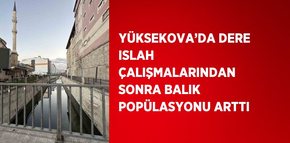 YÜKSEKOVA’DA DERE ISLAH ÇALIŞMALARINDAN SONRA BALIK POPÜLASYONU ARTTI