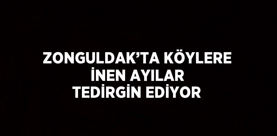 ZONGULDAK’TA KÖYLERE İNEN AYILAR TEDİRGİN EDİYOR