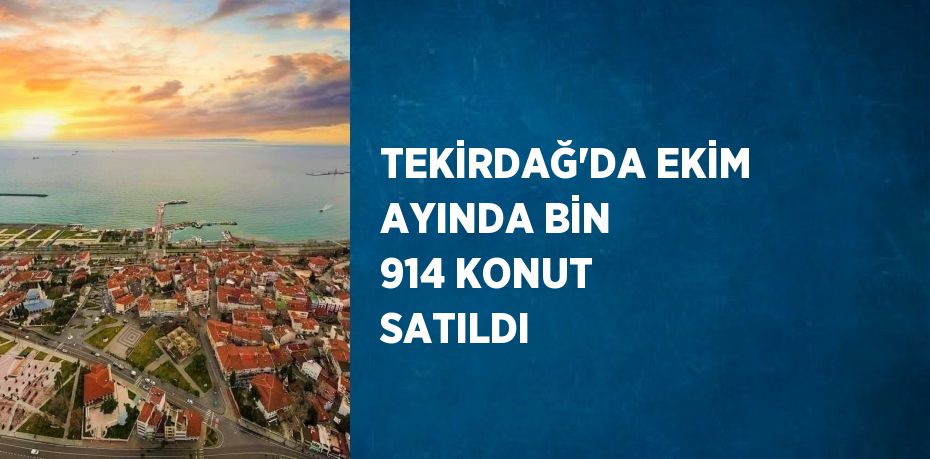 TEKİRDAĞ’DA EKİM AYINDA BİN 914 KONUT SATILDI