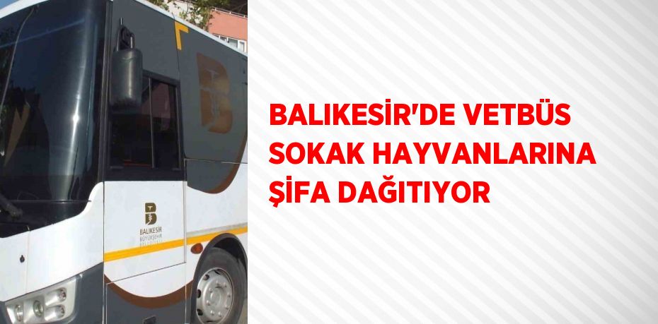 BALIKESİR’DE VETBÜS SOKAK HAYVANLARINA ŞİFA DAĞITIYOR