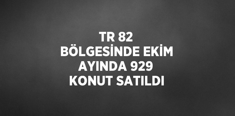 TR 82 BÖLGESİNDE EKİM AYINDA 929 KONUT SATILDI