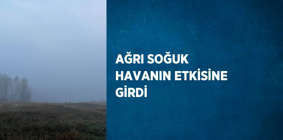 AĞRI SOĞUK HAVANIN ETKİSİNE GİRDİ