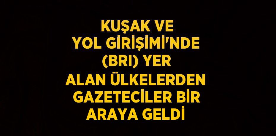 KUŞAK VE YOL GİRİŞİMİ’NDE (BRI) YER ALAN ÜLKELERDEN GAZETECİLER BİR ARAYA GELDİ