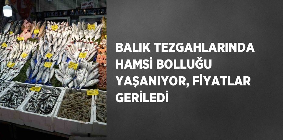 BALIK TEZGAHLARINDA HAMSİ BOLLUĞU YAŞANIYOR, FİYATLAR GERİLEDİ