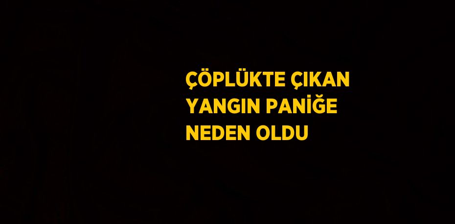 ÇÖPLÜKTE ÇIKAN YANGIN PANİĞE NEDEN OLDU