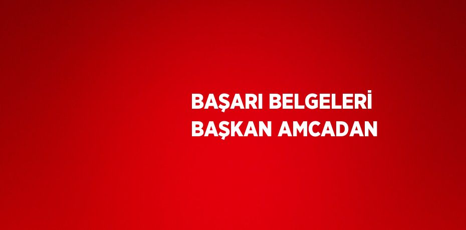 BAŞARI BELGELERİ BAŞKAN AMCADAN