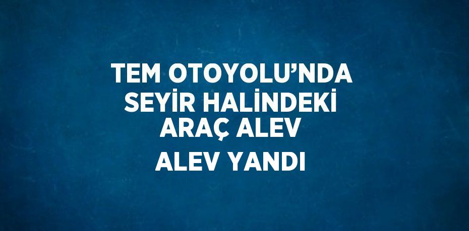 TEM OTOYOLU’NDA SEYİR HALİNDEKİ ARAÇ ALEV ALEV YANDI