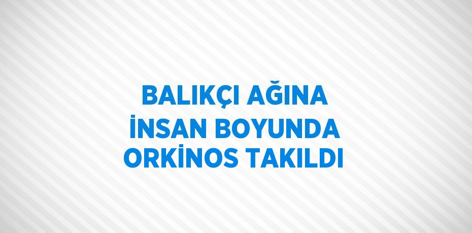 BALIKÇI AĞINA İNSAN BOYUNDA ORKİNOS TAKILDI