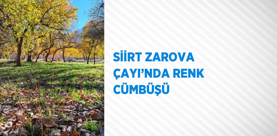 SİİRT ZAROVA ÇAYI’NDA RENK CÜMBÜŞÜ