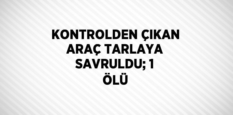 KONTROLDEN ÇIKAN ARAÇ TARLAYA SAVRULDU; 1 ÖLÜ