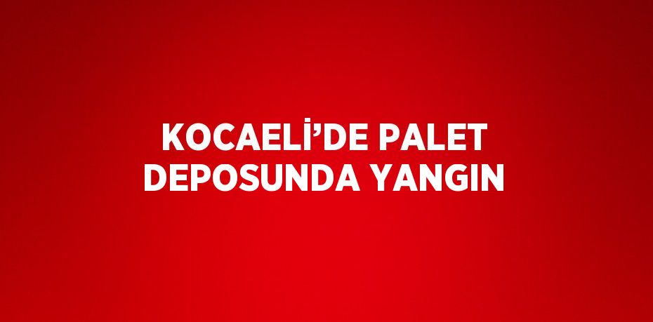 KOCAELİ’DE PALET DEPOSUNDA YANGIN