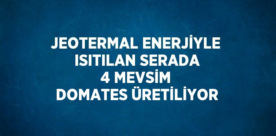 JEOTERMAL ENERJİYLE ISITILAN SERADA 4 MEVSİM DOMATES ÜRETİLİYOR