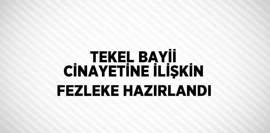 TEKEL BAYİİ CİNAYETİNE İLİŞKİN FEZLEKE HAZIRLANDI