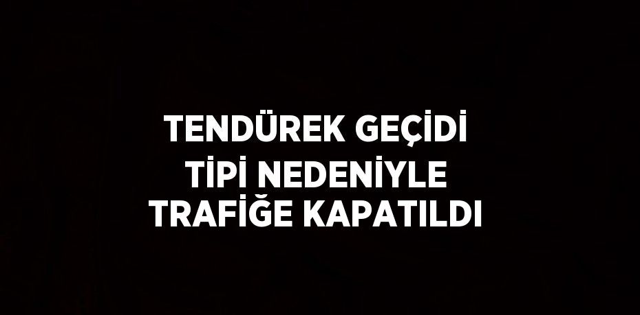 TENDÜREK GEÇİDİ TİPİ NEDENİYLE TRAFİĞE KAPATILDI