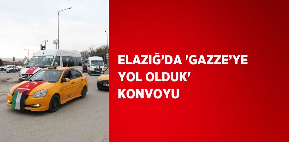 ELAZIĞ’DA 'GAZZE’YE YOL OLDUK' KONVOYU