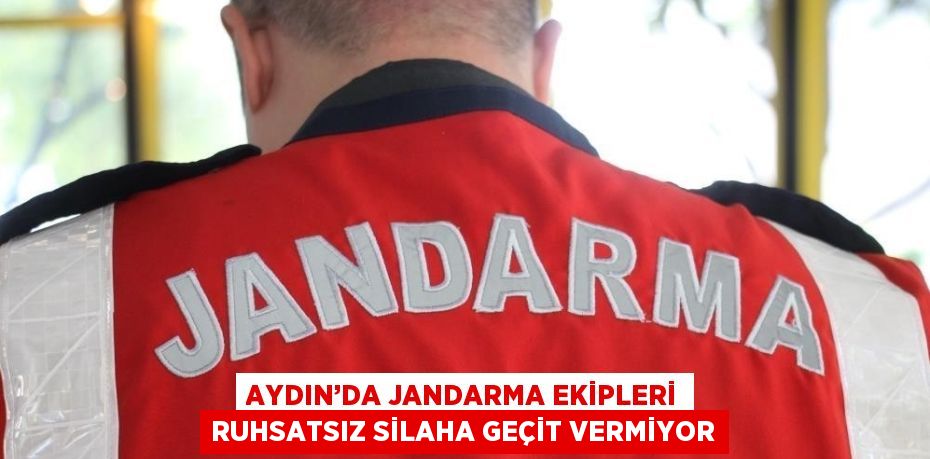 AYDIN’DA JANDARMA EKİPLERİ RUHSATSIZ SİLAHA GEÇİT VERMİYOR