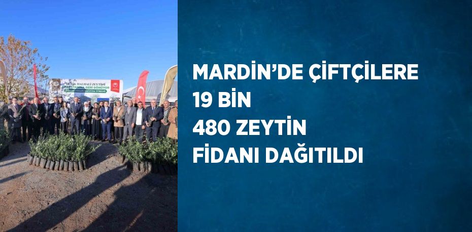 MARDİN’DE ÇİFTÇİLERE 19 BİN 480 ZEYTİN FİDANI DAĞITILDI