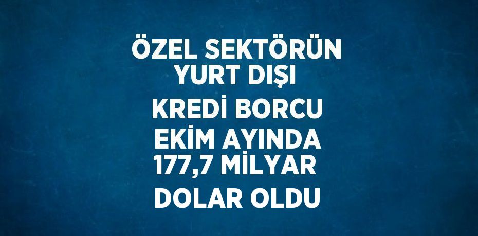 ÖZEL SEKTÖRÜN YURT DIŞI KREDİ BORCU EKİM AYINDA 177,7 MİLYAR DOLAR OLDU