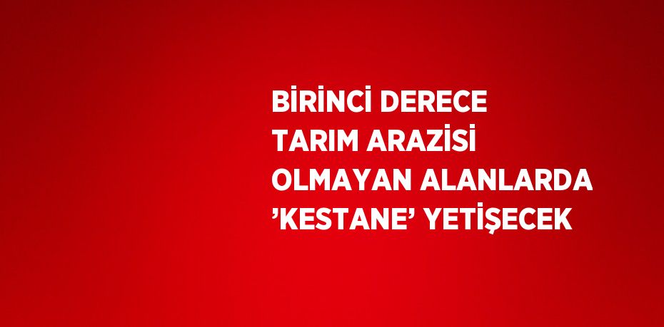 BİRİNCİ DERECE TARIM ARAZİSİ OLMAYAN ALANLARDA ’KESTANE’ YETİŞECEK