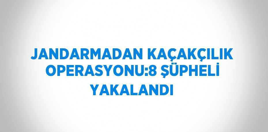 JANDARMADAN KAÇAKÇILIK OPERASYONU:8 ŞÜPHELİ YAKALANDI