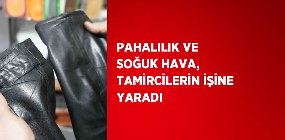 PAHALILIK VE SOĞUK HAVA, TAMİRCİLERİN İŞİNE YARADI