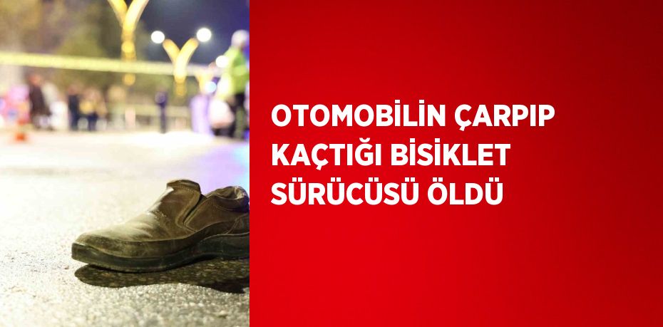 OTOMOBİLİN ÇARPIP KAÇTIĞI BİSİKLET SÜRÜCÜSÜ ÖLDÜ