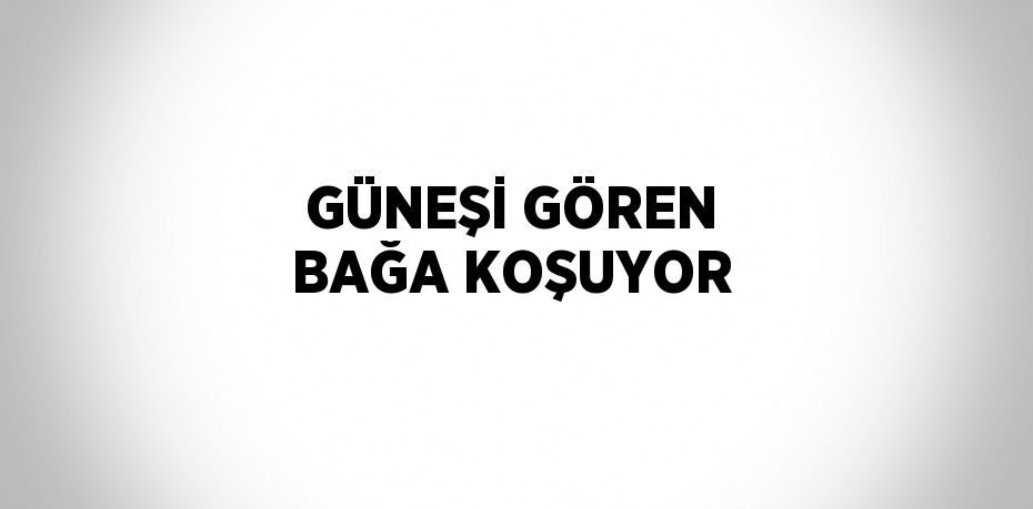 GÜNEŞİ GÖREN BAĞA KOŞUYOR