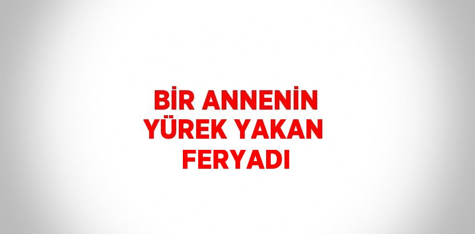 BİR ANNENİN YÜREK YAKAN FERYADI