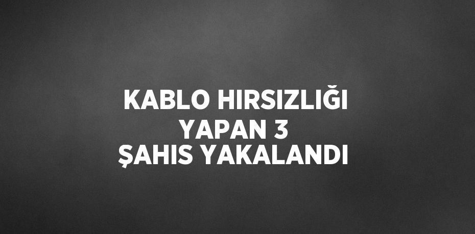 KABLO HIRSIZLIĞI YAPAN 3 ŞAHIS YAKALANDI